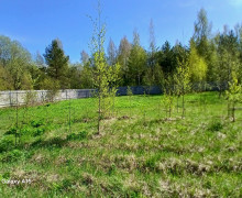 Продажа - земельный участок 30 соток