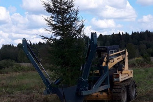 Благоустройство участков