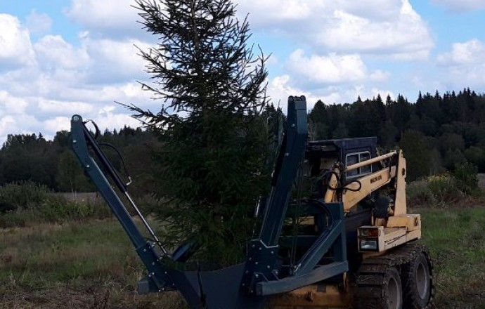 Благоустройство участков