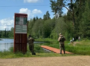 Власти, дружинники и «спортсмены» из 90-х.