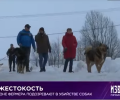 Зверская жестокость.