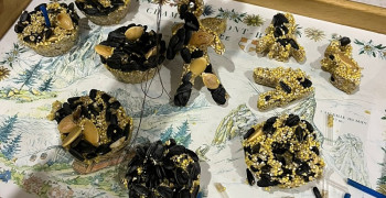 Мастер класс по изготовлению кормушек для птиц.