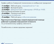 График работы Сиверской поликлиники в ноябрьские праздники.
