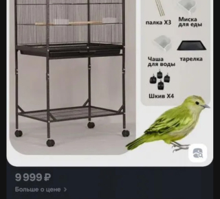 Волнистые попугаи с клеткой большой