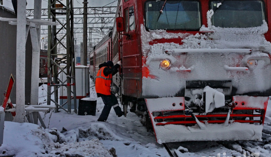 Жительница Ленобласти поймана с поддельным студенческим билетом .