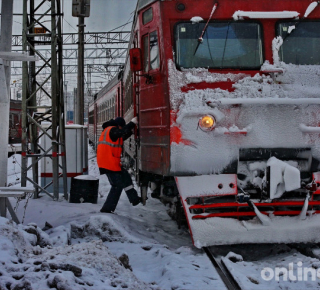 Жительница Ленобласти поймана с поддельным студенческим билетом .