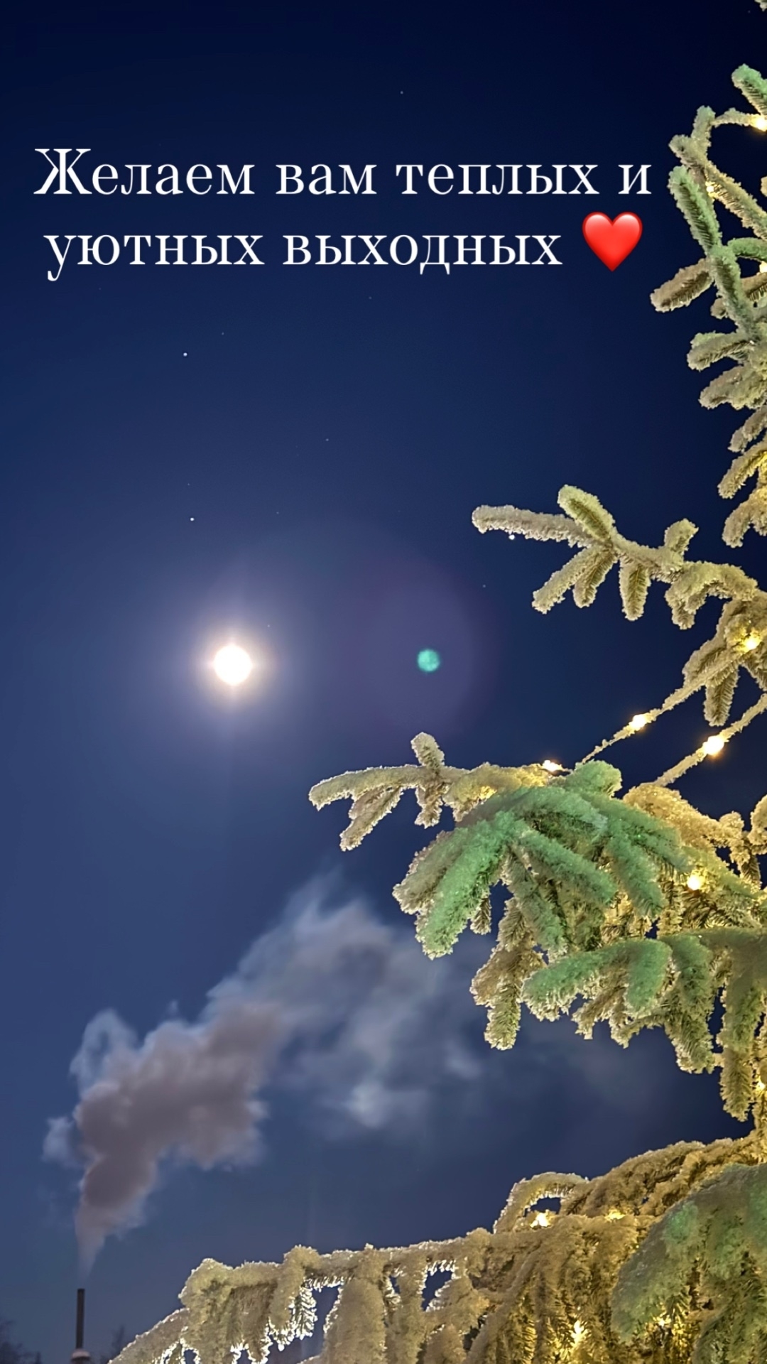 Зимняя сказка в семейном загородном клубе Лесная сказка.