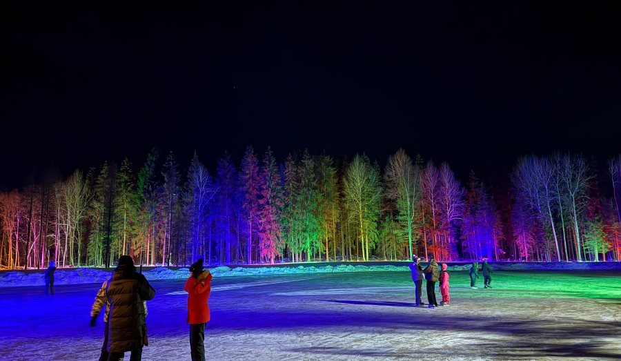 Сказочный каток в Лесной сказке