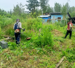 Комплексная уборка участка: от спила до вывоза