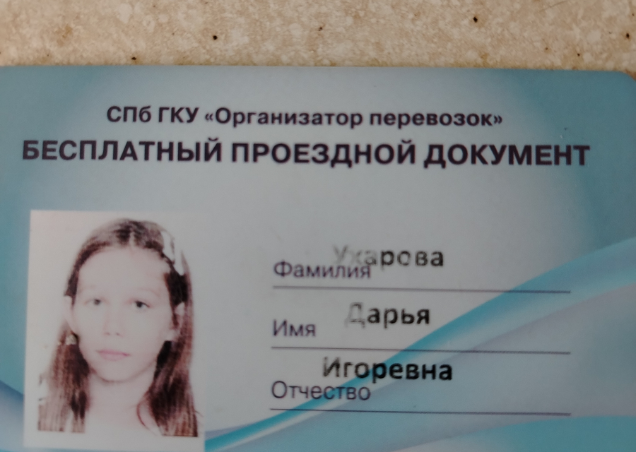 Найден проездной документ