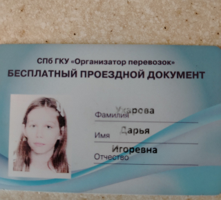 Найден проездной документ