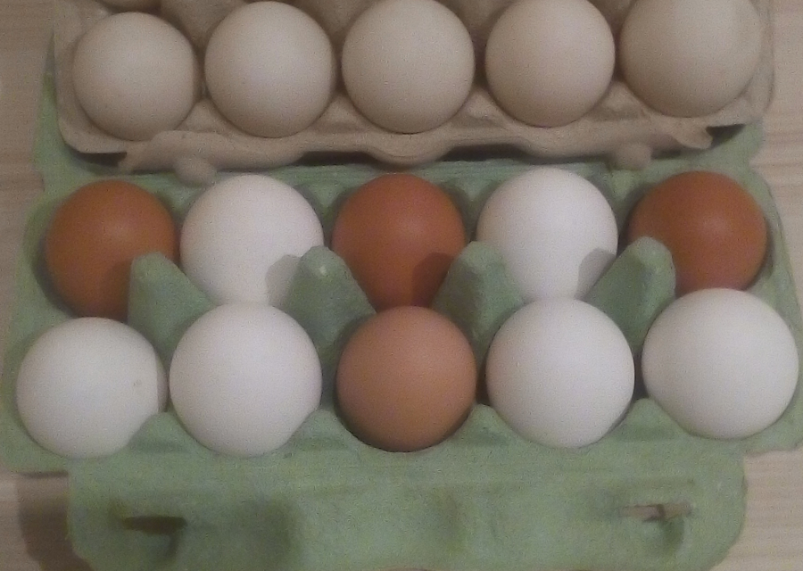 Яйцо куриное и утиное 