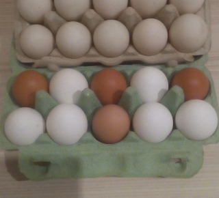Яйцо куриное и утиное 