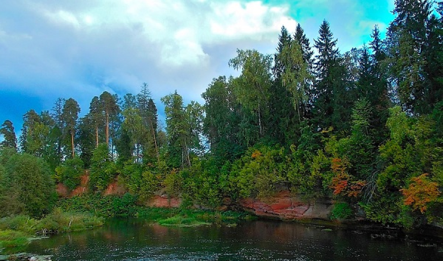 Обнажения девона на реке Оредеж