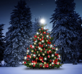 О покупке новогодних елей в 2022 году.