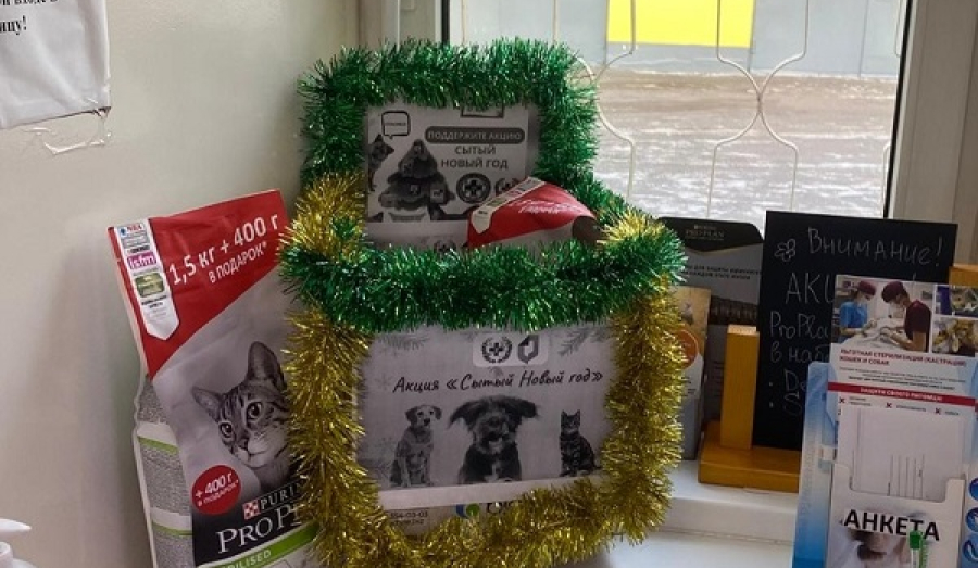 Принеси корм для четвероного друга.