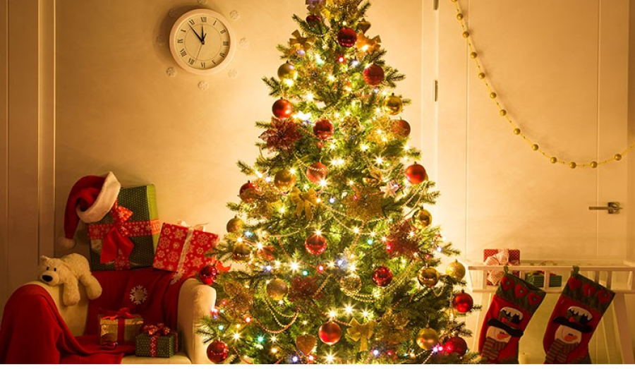 Какую ёлку купить на Новый год?