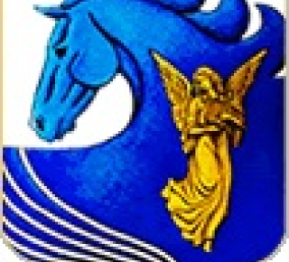 Сиверское территориальное управление