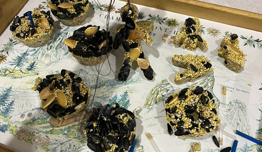 Мастер класс по изготовлению кормушек для птиц.