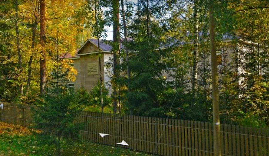 "Живем в сарае с электричеством".