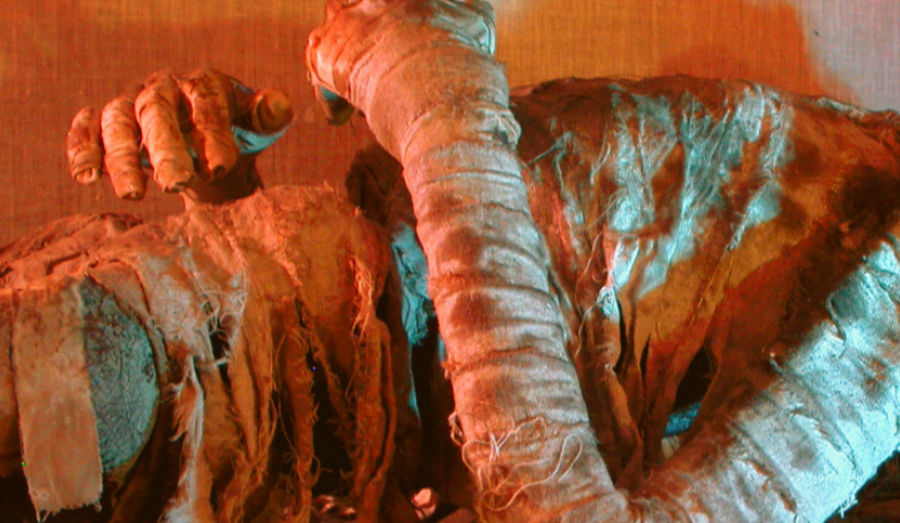 Шизофрения, коварство или месть? 