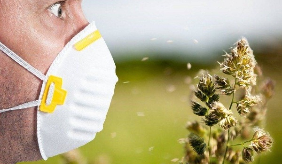 Как пережить сезонную аллергию без больничных.