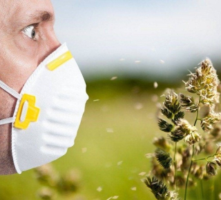 Как пережить сезонную аллергию без больничных.