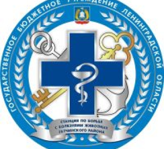 Сиверский ветеринарный участок