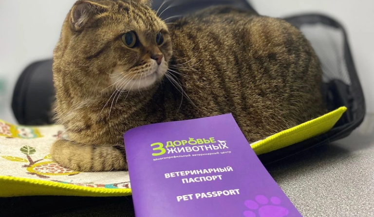 Регистрация собак и кошек